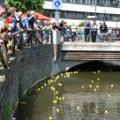 Enten 2010 011.jpg